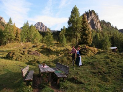 Apartment Apartment in Hüttschlag near Ski Bus - Environment photo 19