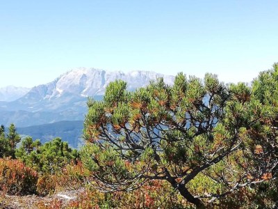 Holiday house Landhausidylle mit Bergblick nahe Skilift - Environment photo 17