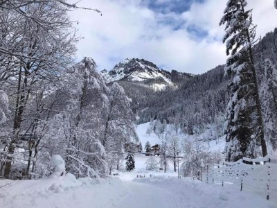 Holiday house Landhausidylle mit Bergblick nahe Skilift - Environment photo 18