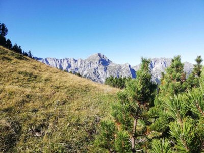 Holiday house Landhausidylle mit Bergblick nahe Skilift - Environment photo 21