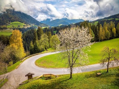 Holiday house Landhausidylle mit Bergblick nahe Skilift - Environment photo 25