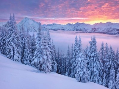 Holiday house Landhausidylle mit Bergblick nahe Skilift - Environment photo 29