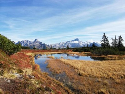 Holiday house Landhausidylle mit Bergblick nahe Skilift - Environment photo 34