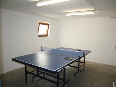 Cottage Chalet in Goldegg near Ski Slopes - Features photo 10