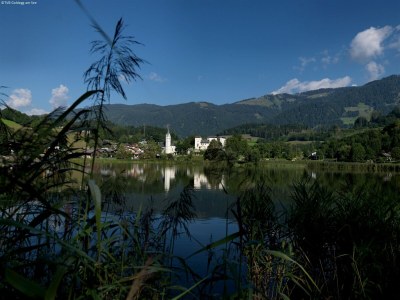 Cottage Chalet in Goldegg near Ski Slopes - Environment photo 27