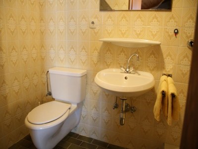 Apartment Apartment in Taxenbach near Ski Lift - Features photo 10