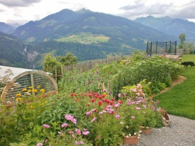 Apartment Ferienhaus in Taxenbach mit Hohe Tauern Blick - Outdoor photo 7