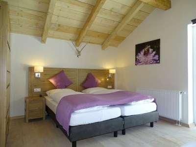 Chalet Detached chalet close to the ski area - Features photo 17