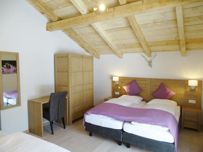 Chalet Detached chalet close to the ski area - Features photo 18