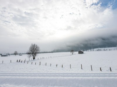Holiday house Bauernhaus Niedernsill bei Skipisten - Environment photo 31