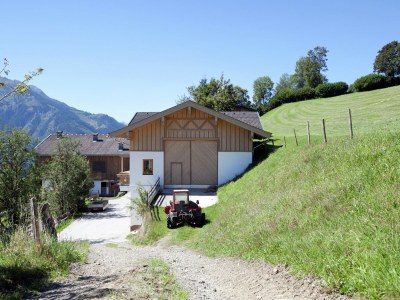 Apartment Flat in Mittersill near Ski Lift - Outdoor photo 5