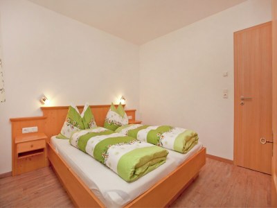 Apartment Flat in Mittersill near Ski Lift - Features photo 16