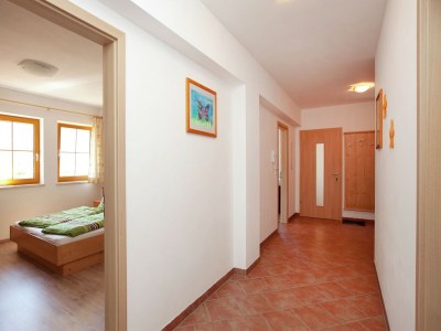 Apartment Flat in Mittersill near Ski Lift - Features photo 17