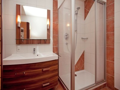 Apartment Flat in Mittersill near Ski Lift - Features photo 19