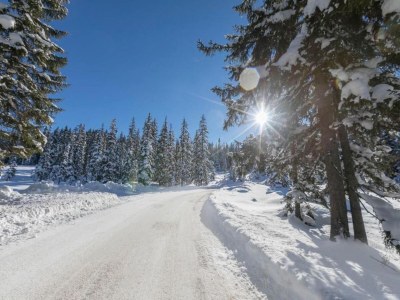 Apartment Flat in Mittersill near Ski Lift - Environment photo 23