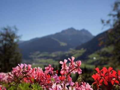 Apartment Flat in Mittersill near Ski Lift - Outdoor photo 39