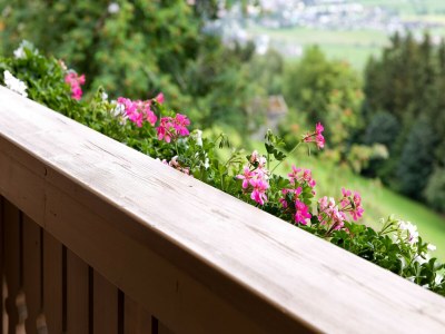 Apartment Wohnung in Mittersill nahe Kitzbühel Skigebiet - Outdoor photo 27