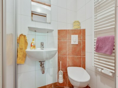 Holiday house Chalet in Mittersill nahe Skipisten - Features photo 11