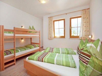 Holiday house Chalet in Mittersill nahe Skipisten - Features photo 15