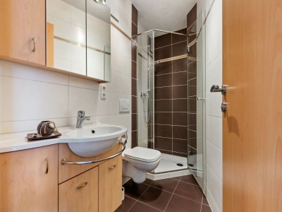 Apartment Apartment in Hollersbach near Ski Lift - Features photo 15