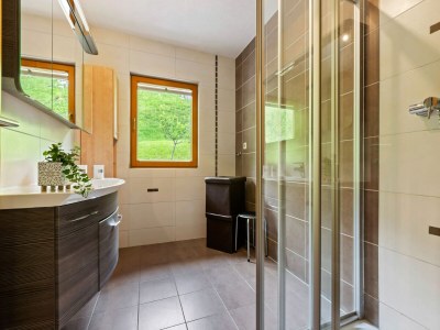 Apartment Apartment in Hollersbach near Ski Lift - Features photo 20