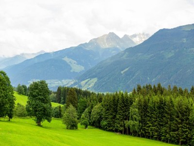 Apartment Apartment in Hollersbach near Ski Lift - Environment photo 26