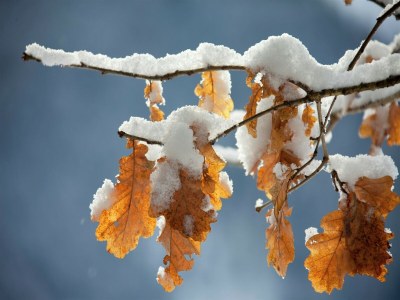 Apartment Wohnung in Hollersbach am Skilift - Environment photo 29