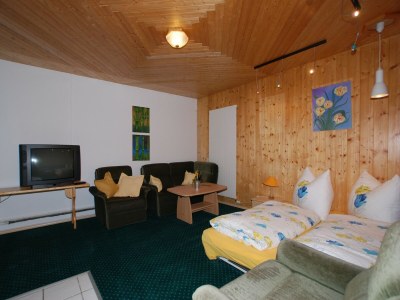 Apartment Chalet in Neukirchen near Ski Lifts - Features photo 12