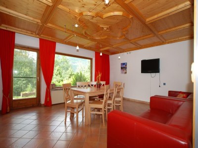 Apartment Chalet in Neukirchen near Ski Lifts - Features photo 20