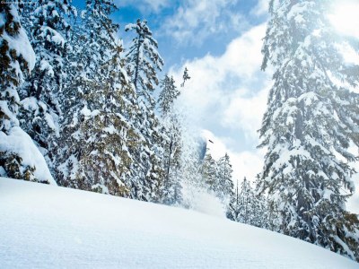 Apartment Chalet in Neukirchen near Ski Lifts - Environment photo 26