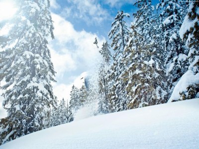 Apartment Chalet in Neukirchen near Ski Lifts - Environment photo 38