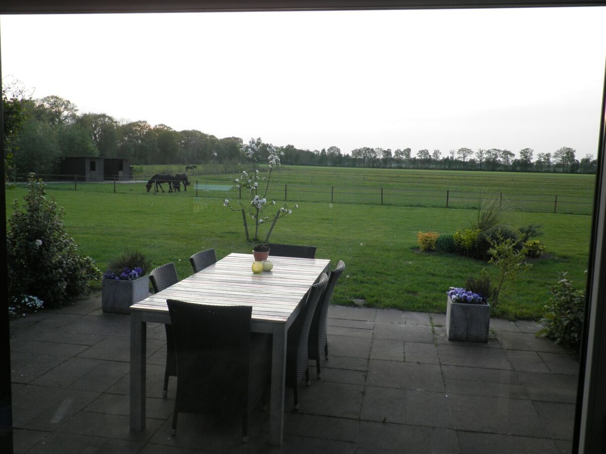 Holiday house Luxuriöses Ferienhaus am Waldrand in Langweer - Outdoor photo 4