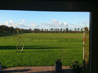 Holiday house Luxuriöses Ferienhaus am Waldrand in Langweer - Outdoor photo 9