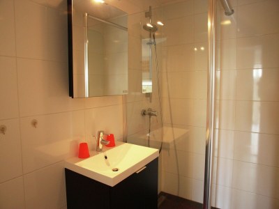 Holiday house Luxuriöses Ferienhaus am Waldrand in Langweer - Features photo 21