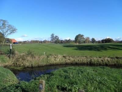 Holiday house Luxuriöses Ferienhaus am Waldrand in Langweer - Environment photo 25
