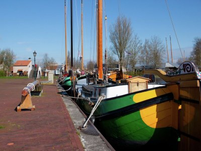 Holiday house Luxuriöses Ferienhaus am Waldrand in Langweer - Environment photo 27