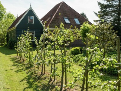 Holiday house Haven with Garden & Comfort - Outdoor photo 39