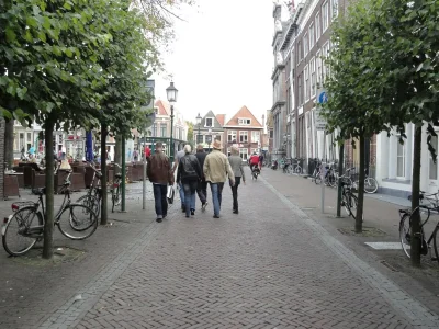 Apartment Schönes Apartment in Hoorn am See - Environment photo 18