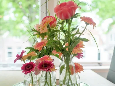 Apartment Schönes Apartment in Hoorn am See - Outdoor photo 24