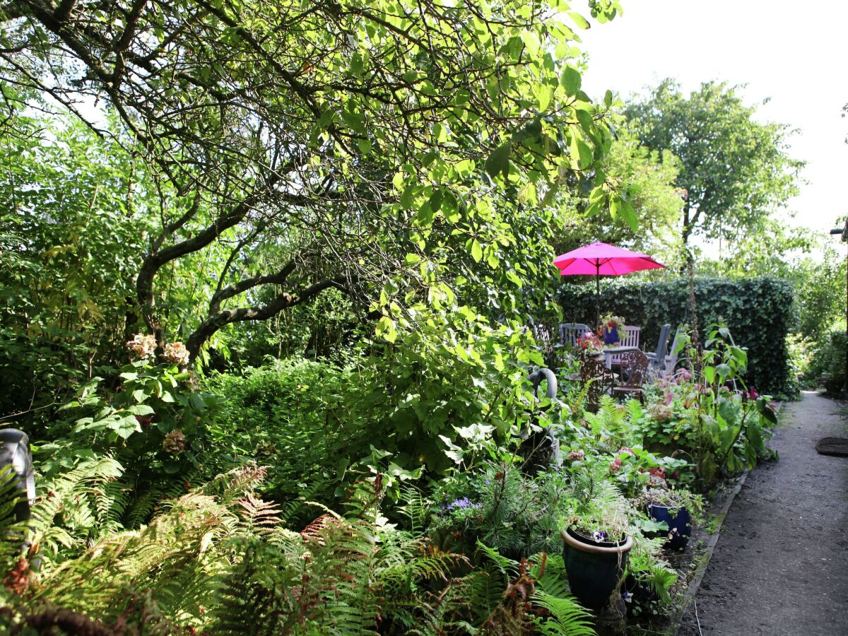 Farmhouse Gemütlicher Bauernhof in Sint Maartensvlotbrug in Waldnähe - Outdoor photo 4