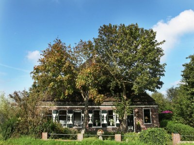 Farmhouse Gemütlicher Bauernhof in Sint Maartensvlotbrug in Waldnähe - Outdoor photo 2