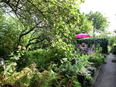 Farmhouse Gemütlicher Bauernhof in Sint Maartensvlotbrug in Waldnähe - Outdoor photo 4