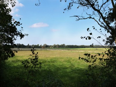 Farmhouse Gemütlicher Bauernhof in Sint Maartensvlotbrug in Waldnähe - Environment photo 28