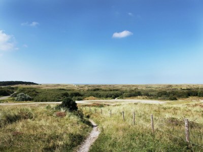 Farmhouse Gemütlicher Bauernhof in Sint Maartensvlotbrug in Waldnähe - Environment photo 31