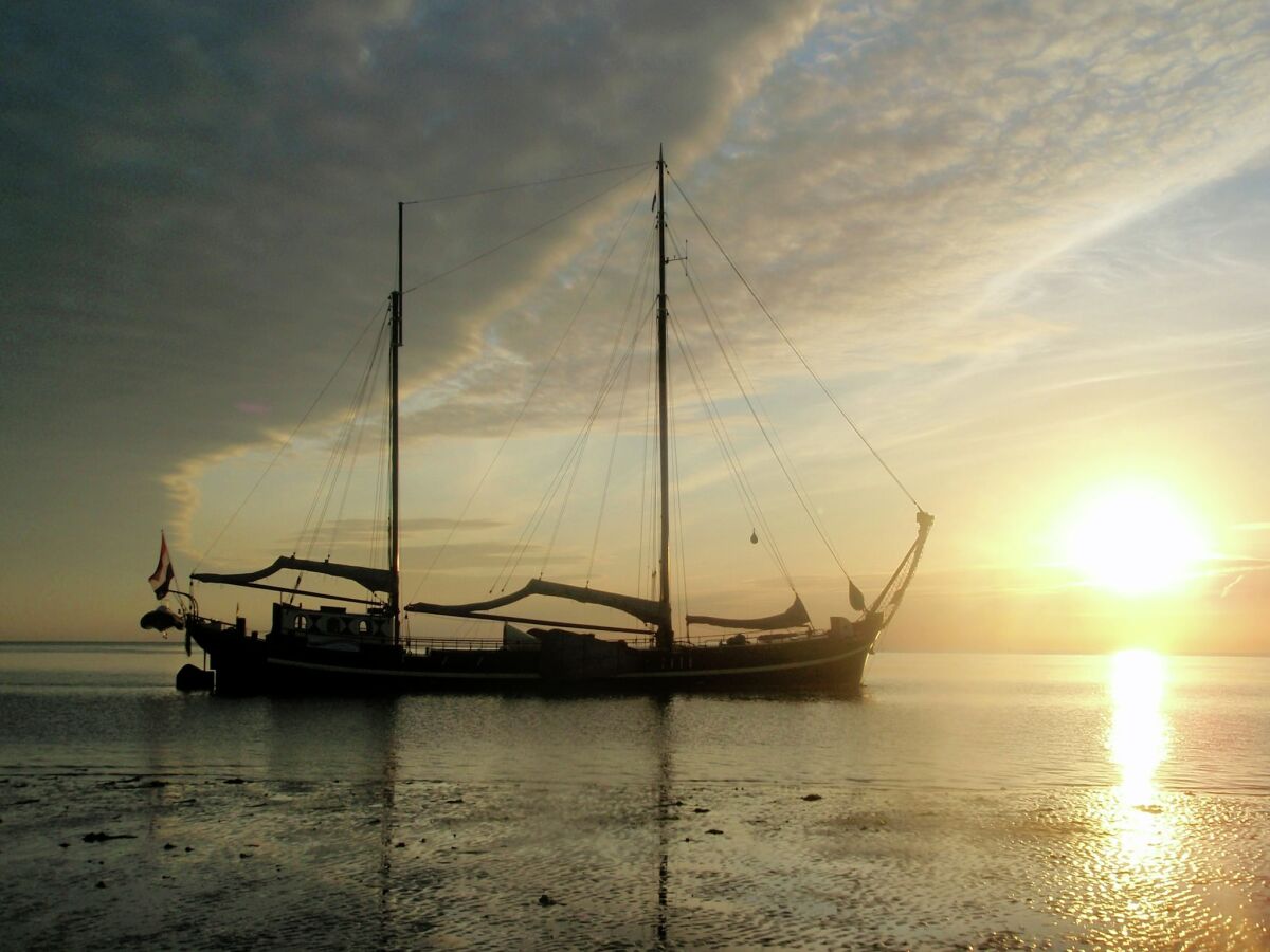 House boat Boat in Leiden near City Center & Museums - Outdoor photo 3
