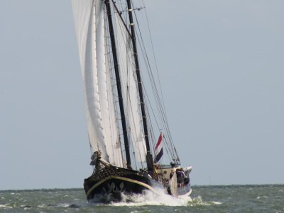 House boat Boat in Leiden near City Center & Museums - Outdoor photo 8
