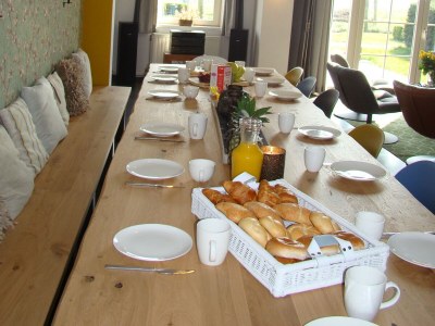 Holiday house Apartment in Netherlands with Sauna - Features photo 17