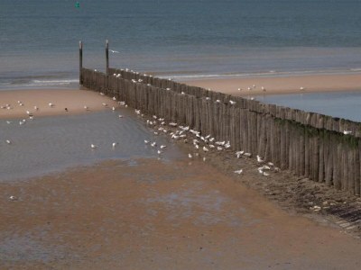 Holiday house Apartment in Netherlands with Sauna - Environment photo 32