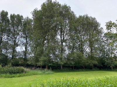 Farmhouse Rural holiday home with outdoor pool & sauna. - Environment photo 30