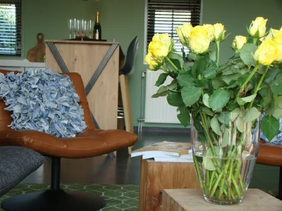 Farmhouse Rural holiday home with outdoor pool & sauna. - Outdoor photo 38